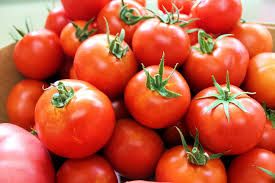 Tomate