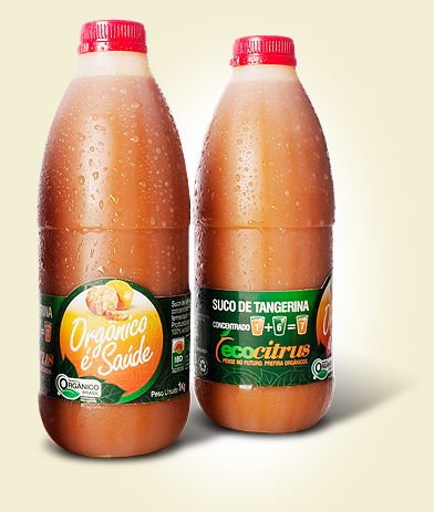 Suco Tangerina